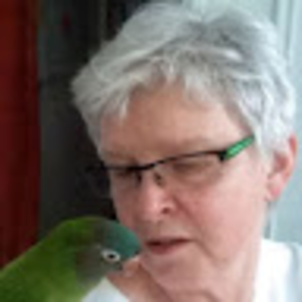 Meet your Posher, Cecelia